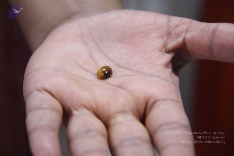 File:20110906 Photo 1085 1 jZS-Zk3RepOztG6TLimsZ51CXAkml66.JPG