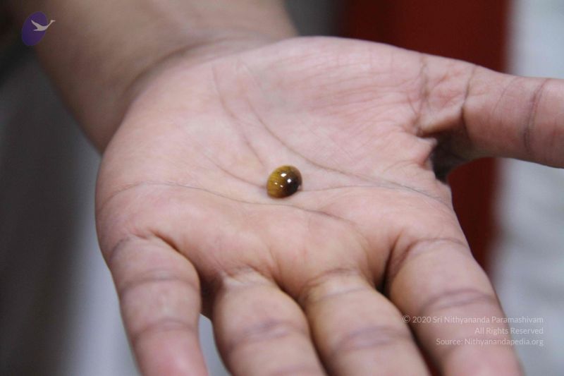 File:20110906 Photo 1087 1jl27reob1ZyUPww7HEDJW3XULDRXbVSK.JPG