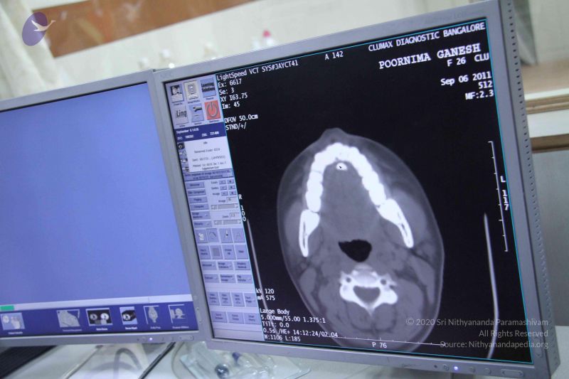 File:20110906 Photo 1096 18YM1KolW-P2lp-PDddbM7KdrqD vLFZO.JPG