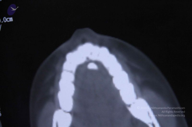 File:20110906 Photo 1097 1V0yi2gMzZ3huQ1ojQgr8Sw nz1sB9Cz9.JPG