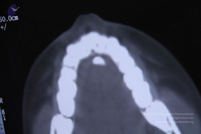 File:20110906 Photo 1098 1g-he7EzBLUmOItinzeJkAuQP9AOBZ7X3.JPG