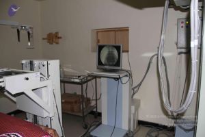 20110906 Photo 1133 1UFboJ4pmTj7idodHurJv3vmxC6qUPqar.JPG