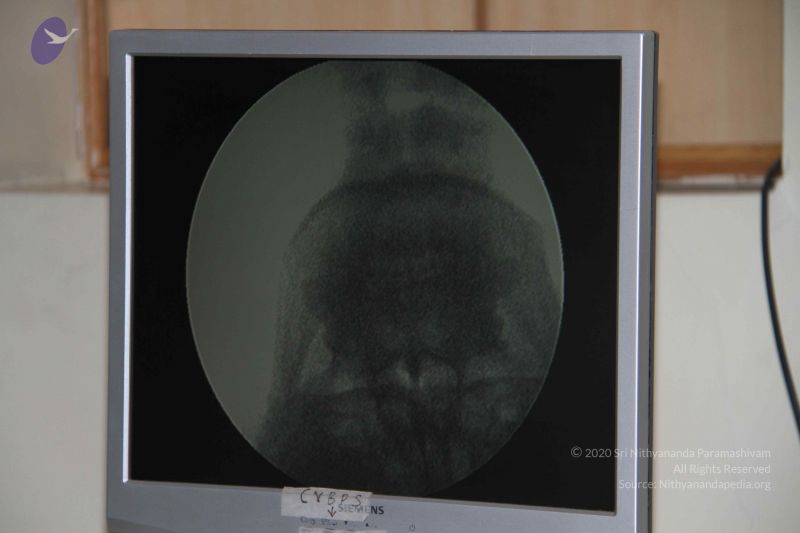 File:20110906 Photo 1134 11K3kXdEfB-amaw7mVkX7mZCeKYcDHg9a.JPG