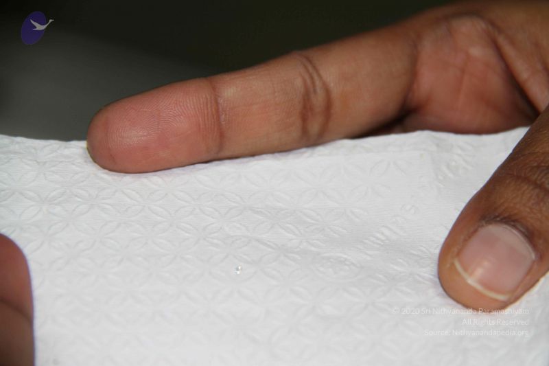 File:20110906 Photo 1136 1lpE9AA4j40c wj1KVKdYDyP1Z5hCTLFw.JPG