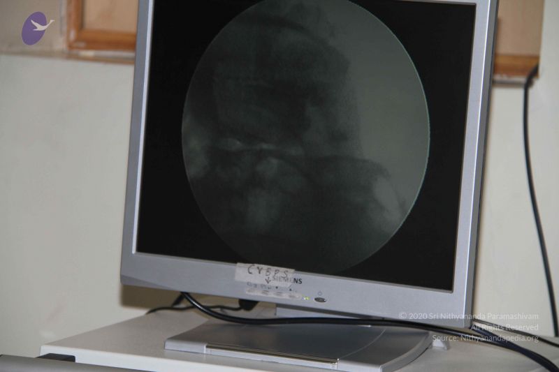 File:20110906 Photo 1137 1oJdZu97PHgGHheYayrMQisNouxI2E2M1.JPG