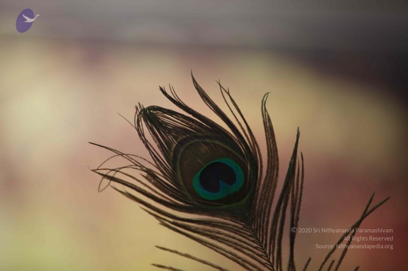 File:20110907 Photo 1077 1ds3xAcZrztTA8YgFHFyF Yx4xEsAxHA2.JPG