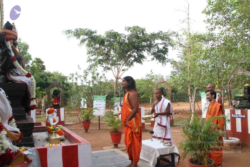 File:20110908 IMG 4894 CMP WM-2601.jpg