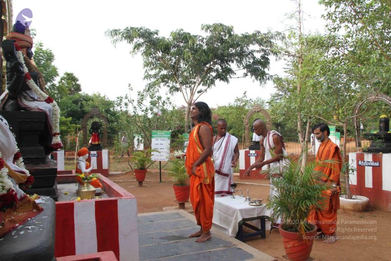 File:20110908 IMG 4899 CMP WM-3101.jpg