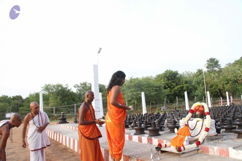 File:20110908 IMG 4915 CMP WM-4601.jpg