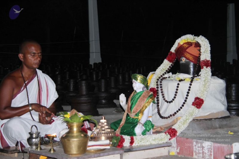 File:20110908 IMG 4952 CMP WM-0401.jpg