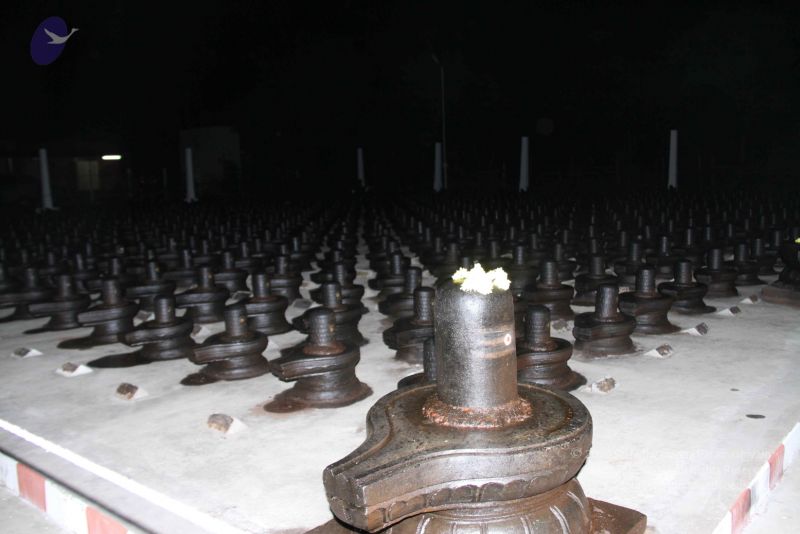 File:20110908 IMG 4988 CMP WM-2701.jpg