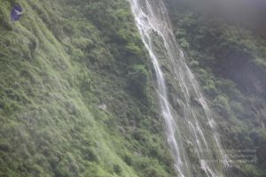 20110908 Photo 1039 1jWj THFrwTH2PJ8FwTs5HGB0 B3SNXMz.JPG