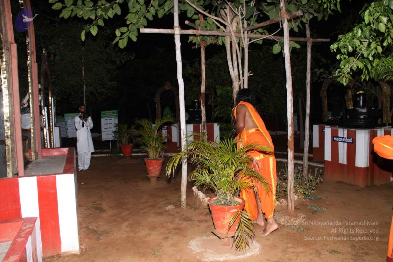 File:20110909 IMG 5071 CMP WM-03001.jpg