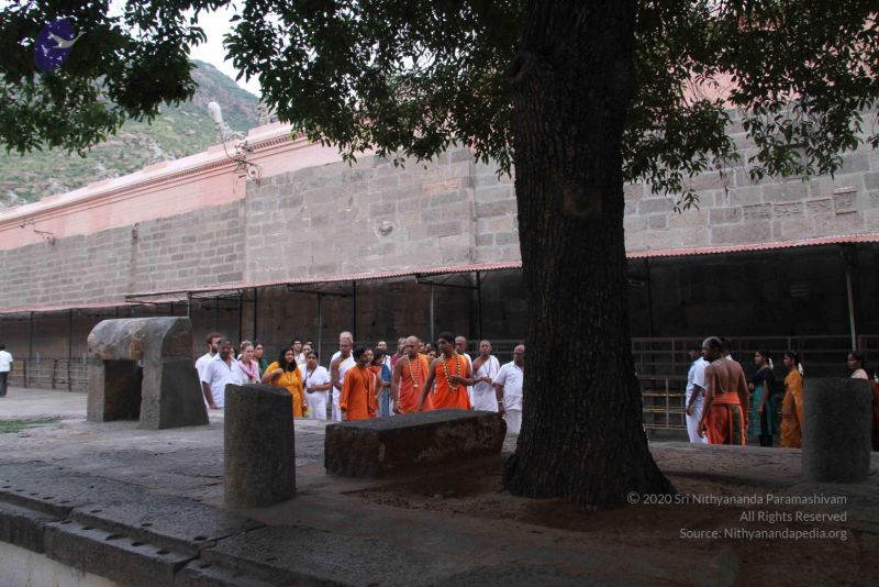 File:20110909 IMG 5242 CMP WM-101001.jpg