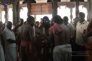 20110909 IMG 5258 CMP WM-113001.jpg