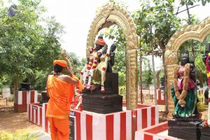 20110909 IMG 5668 CMP WM-27001.jpg