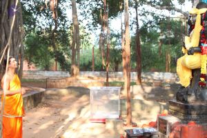 20110909 Photo 1011 1F1FUPvURQGL2ticmsizvGdzw8QEyTrIm.JPG