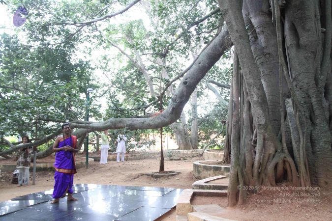 20110909 Photo 1015 1YdSduGTfc0EfYMzqhFs1V8BBO9Yi-zuW.JPG