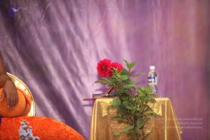 20110909 Photo 1044 1CHpSo36vPuFp2bR2unyykmQitNV8vStU.JPG