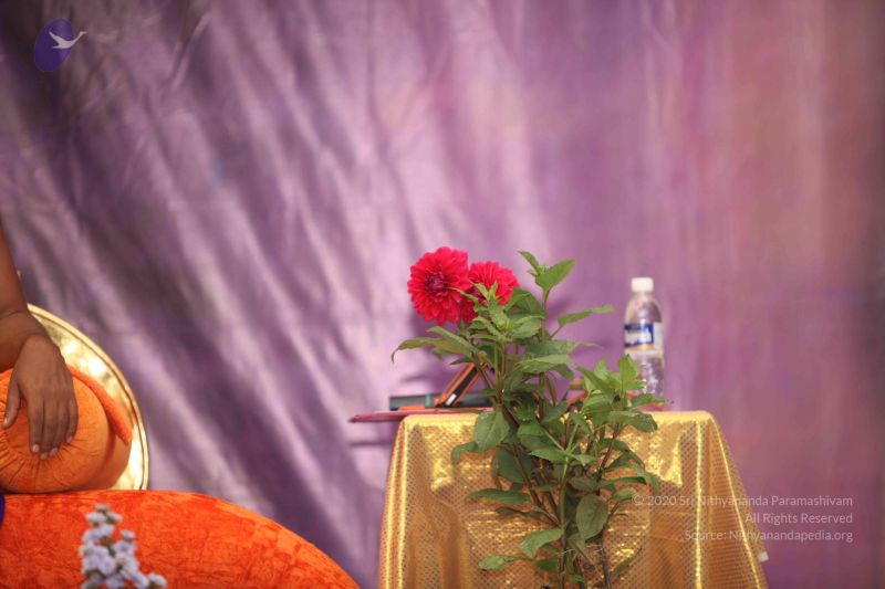 File:20110909 Photo 1044 1CHpSo36vPuFp2bR2unyykmQitNV8vStU.JPG