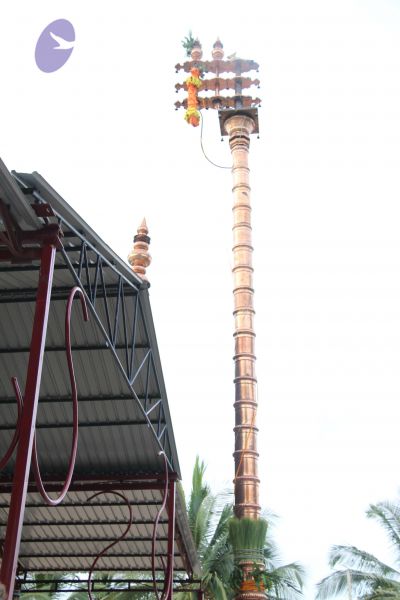 File:20110909 Photo 1159 1bhCFRaXeIBpB7BIHiupgVko6HAk7PlAb.JPG