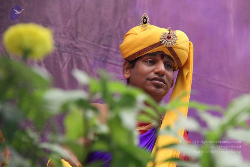 File:20110909 Photo 1226 1Hmc3ZbOw3CChuUB-ra9hy-kMpLfPit62.JPG