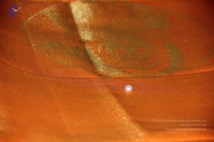 20110909 Photo 1644 12PalaSkb25B5sdWYOOHlWRLcfBRusT2Y.JPG