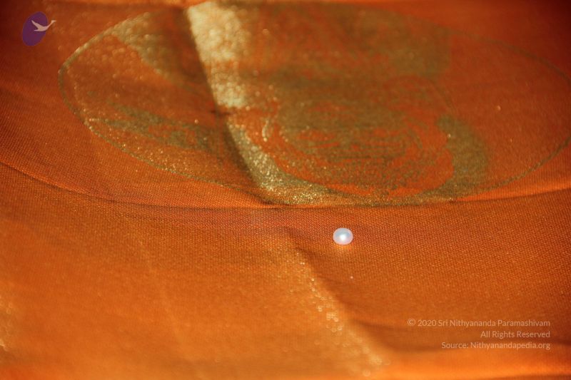 File:20110909 Photo 1644 12PalaSkb25B5sdWYOOHlWRLcfBRusT2Y.JPG