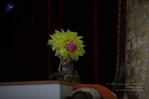 20110909 Photo 1656 1ToATfKe1XULhAPMA 4IRo5vsQCvxXrZr.JPG