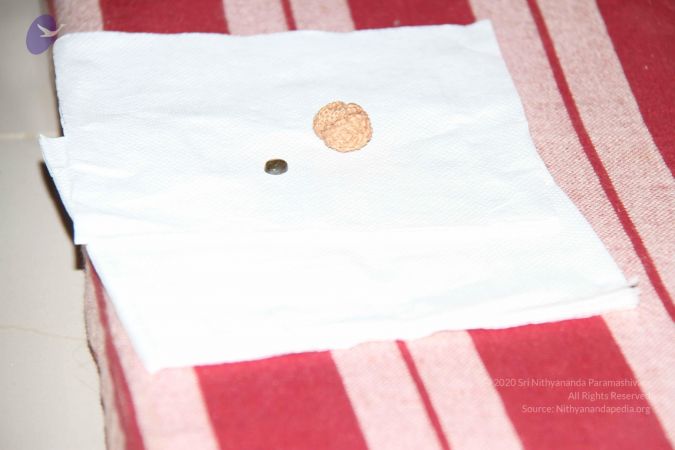 20110910 IMG 5751 CMP WM-02001.jpg