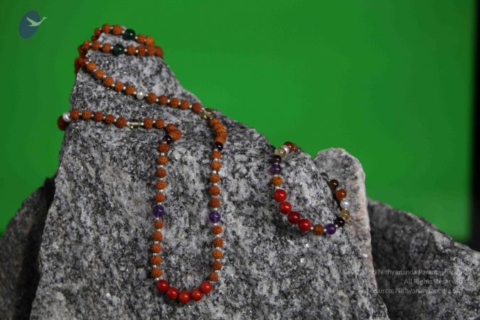 20110910 IMG 5961 CMP WM-107001.jpg