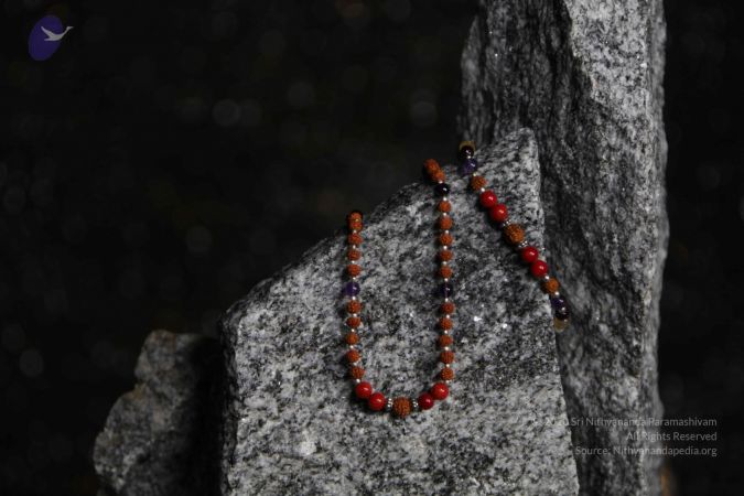 20110910 IMG 5980 CMP WM-114001.jpg