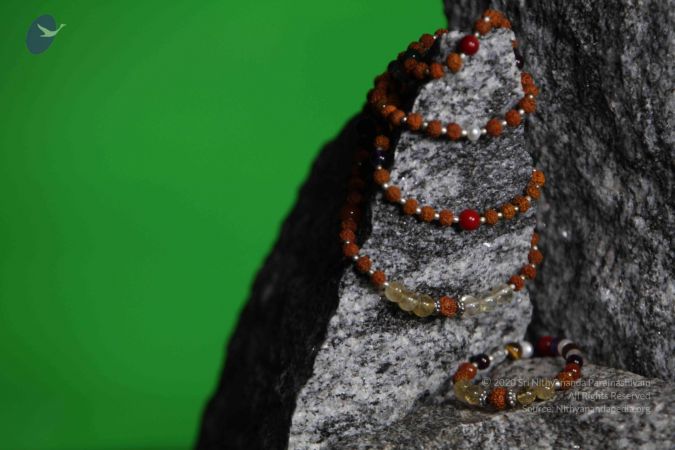 20110910 IMG 6056 CMP WM-153001.jpg