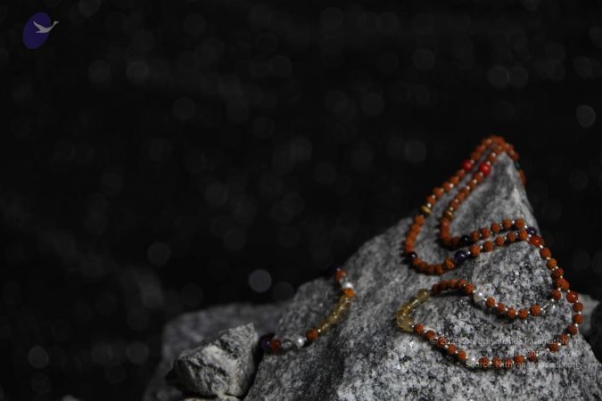 20110910 IMG 6082 CMP WM-166001.jpg