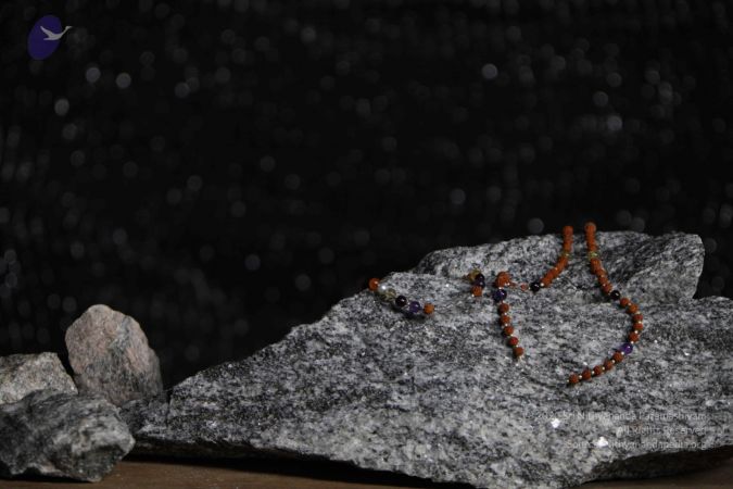 20110910 IMG 6090 CMP WM-172001.jpg