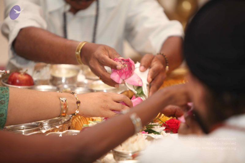 File:20110915 Photo 1039 1PVSLA 5SUx9IS07gN72afxhxKNQdrDqV.JPG