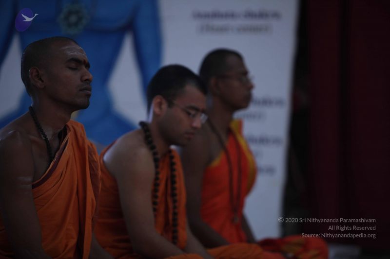 File:20110915 Photo 1273 1JsEAQWne8EU6egBwLjQ6iOb2-BOXoi8r.JPG