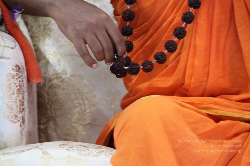 File:20110915 Photo 1383 1BePChuAPXc1nd7OvI0IQh -wKXN JrDr.JPG