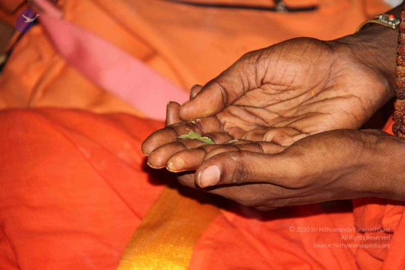 File:20110916 Photo 1042 15opv96c5FbZ zyfF0sU7CWoUMzoC3i5U.JPG