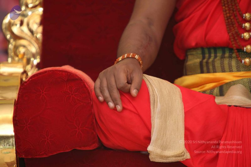 File:20110916 Photo 1159 1gYmaIKKsVw4kqgx7NTtGuKyu2nNWdSlu.JPG