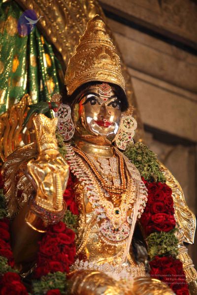 File:20110919 Photo 1015 1IVCI4P9NlFjR0I8gQbdWNpWI5pQSFF46.JPG