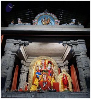 20110919 Photo 1170 1epH65AzgeSRYQ-jAsr7XNTN npAIoT4h.JPG