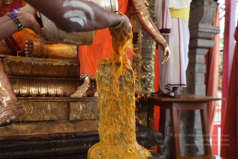 File:20110919 Photo 1275 1S nWiKa8B8hGlSGZODb 7udIcabN2pwh.JPG