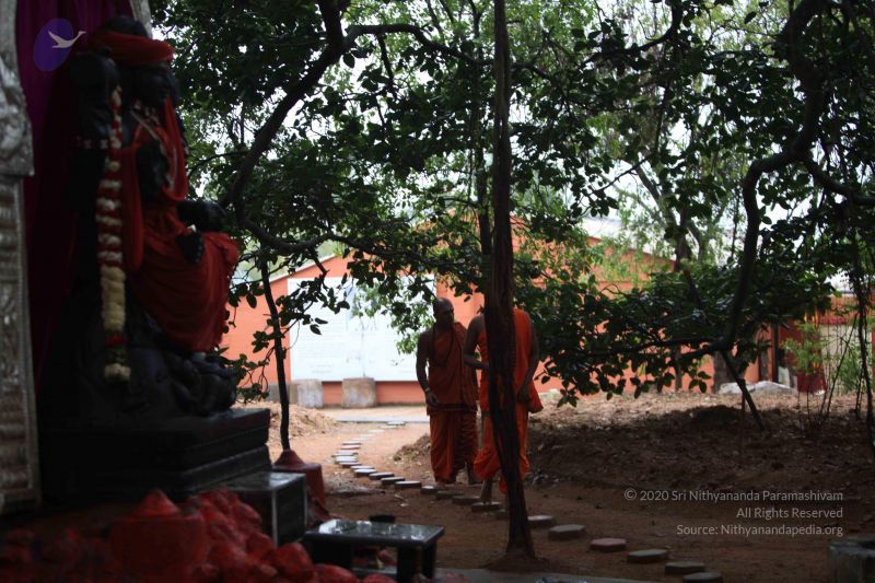 File:20110920 Photo 1003 1sicFr7LR15ECH5jqt Lr95v3P7J-djaR.JPG