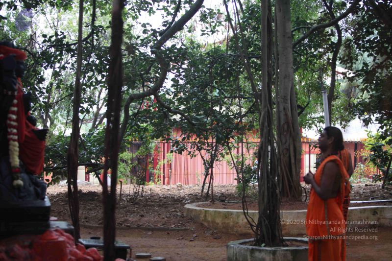 File:20110920 Photo 1006 1WcCTfWO6xXP0-WpwZ76lGMIDeHiCWh5d.JPG