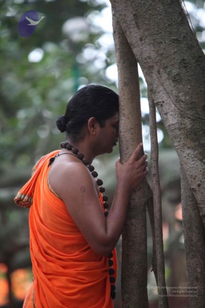 File:20110920 Photo 1010 1dkmMLc3lSv302b4MdOPWLue XI0P-DJw.JPG