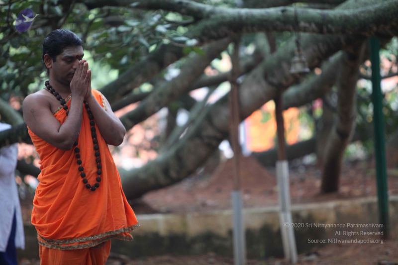 File:20110920 Photo 1017 17F0rgQEMqop14sU1-hyFnFXQ93AaBhRu.JPG