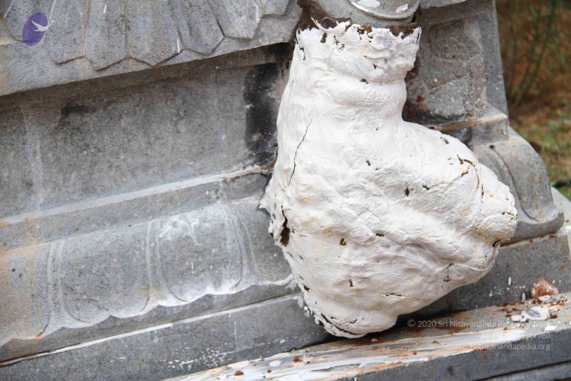 File:20110920 Photo 1125 1UIkUlAxieOfavcC5JYGfZkD75ANL2PFo.JPG