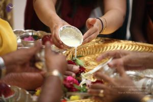 20110921 Photo 1030 17E-QByhVHljaZvctyoUDcUy0FB-AjEYL.JPG