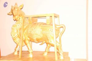 20110921 Photo 1172 1E5o91Il9mlDC7CoWv3RmrIAVAENKbNI8.JPG